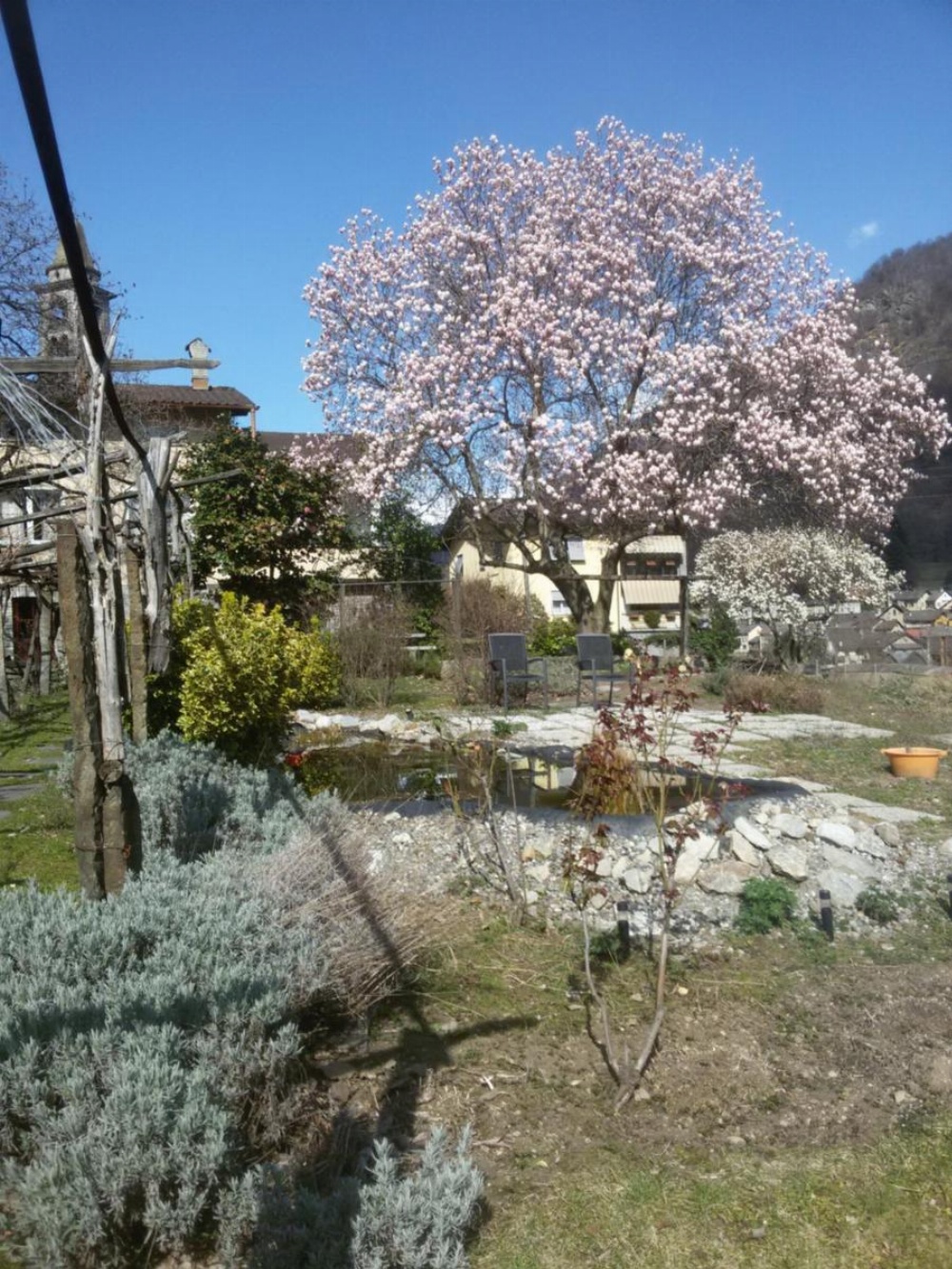 Grotto Pergola Image 28
