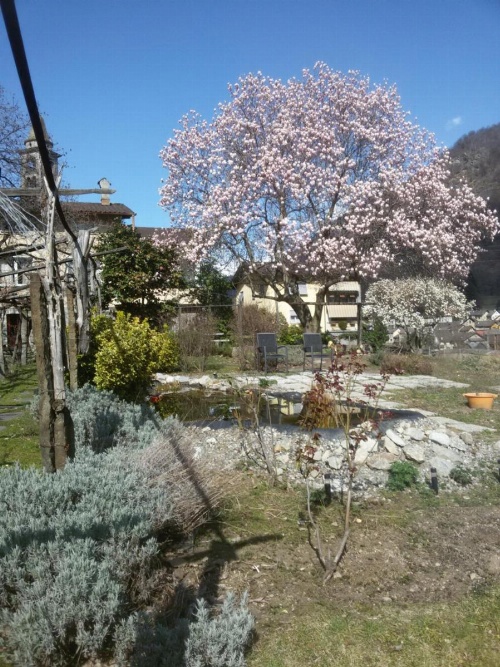 Grotto Pergola image 28