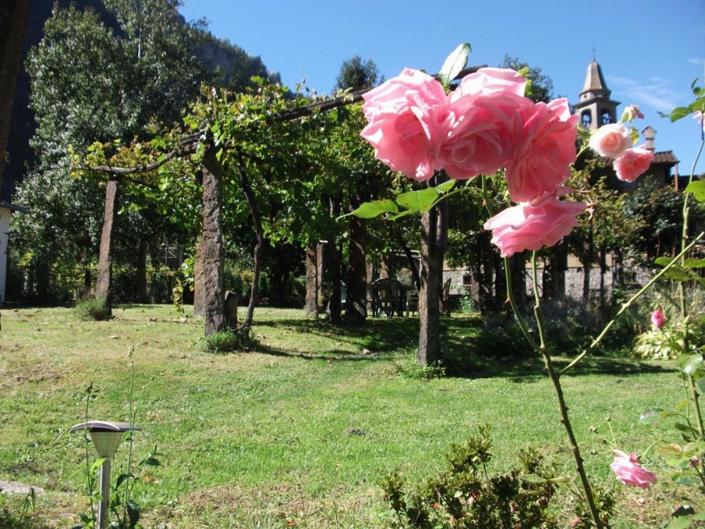 Grotto Pergola Image 32