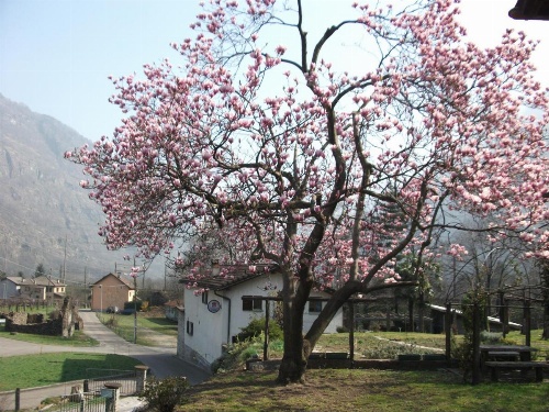 Grotto Pergola image 35