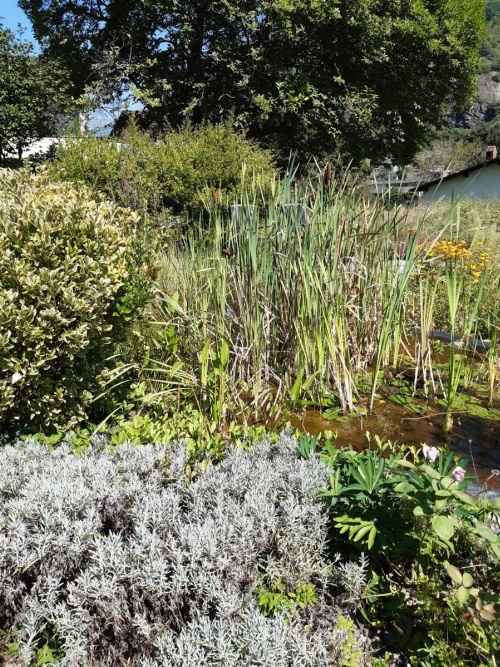 Grotto Pergola image 5