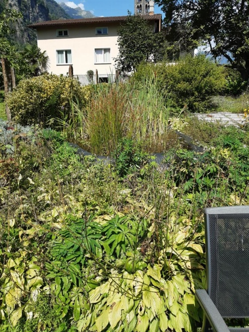 Grotto Pergola image 6
