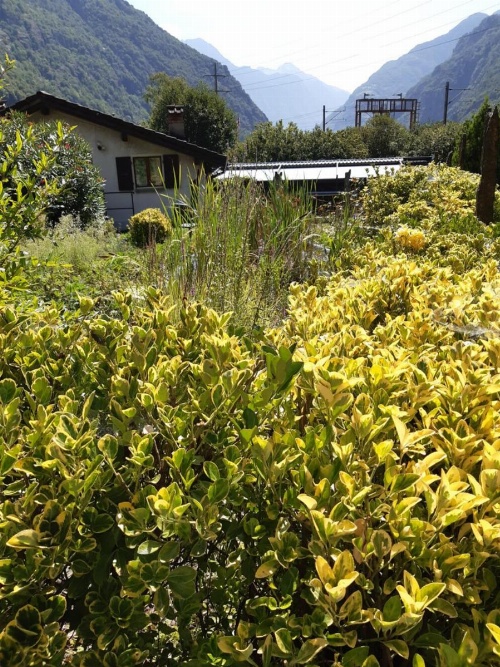Grotto Pergola image 8
