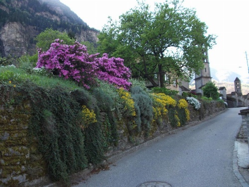 Grotto Pergola image 9